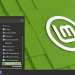 Linux Mint 20