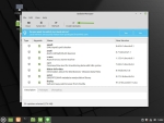 Linux Mint Install - Step 19