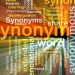 Synonym Word Replacer