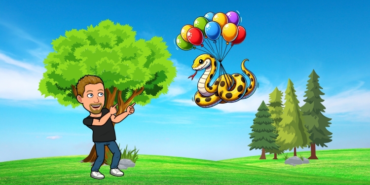 Scraping Web Data with Python Helium